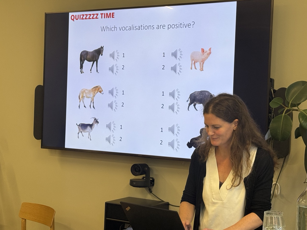 Sonic Agriculture image 2