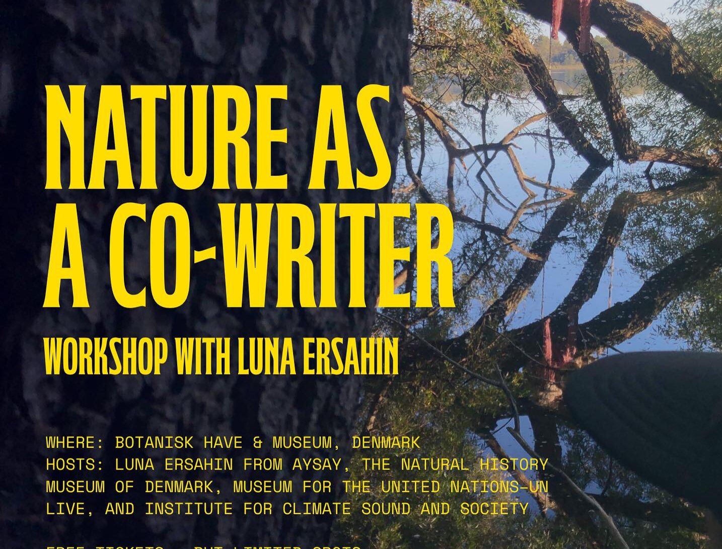 NATURE, MUSIC & SOUND: LUNA ERSAHIN image 2