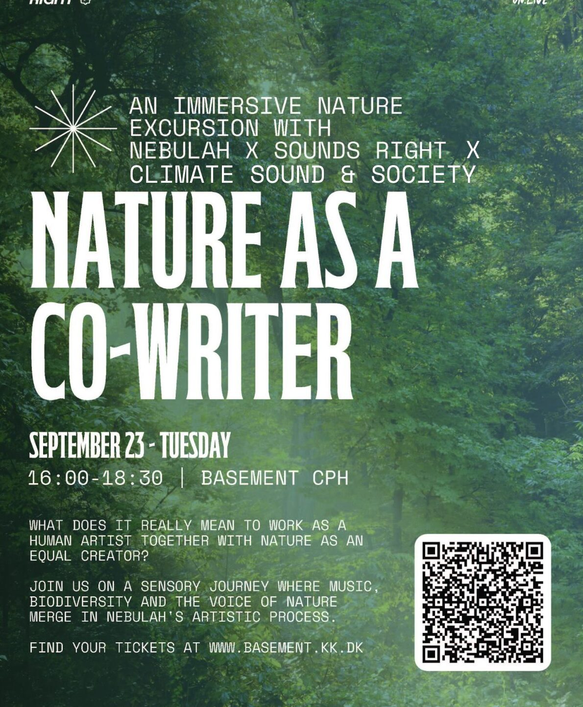 NATURE, MUSIC & SOUND: NEBULAH image 2