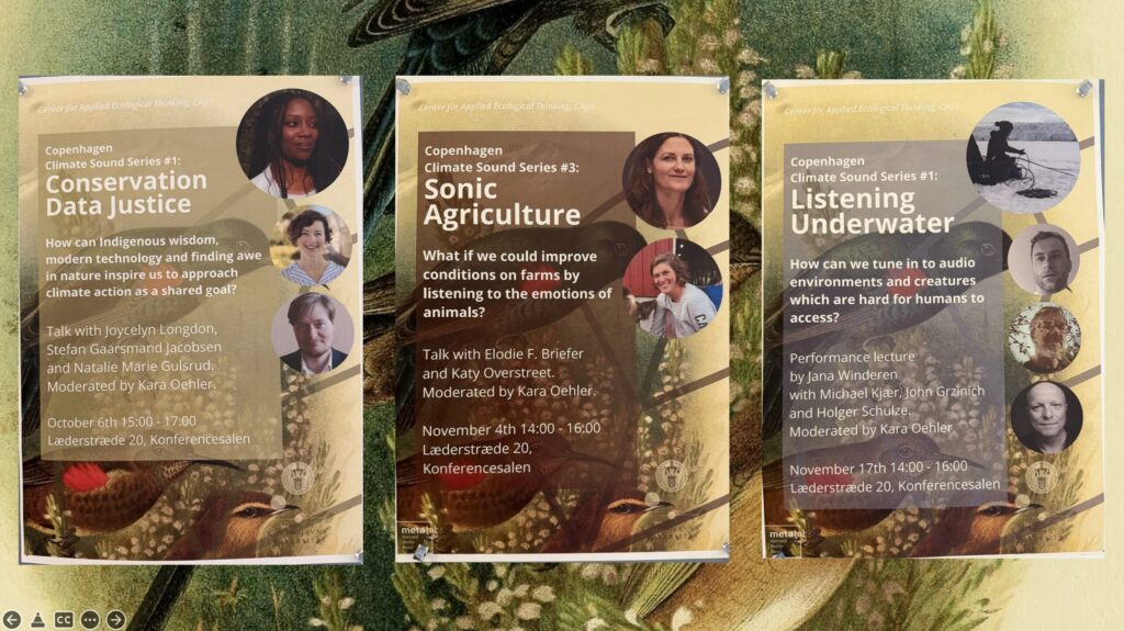 Copenhagen Climate Sound Series image 2